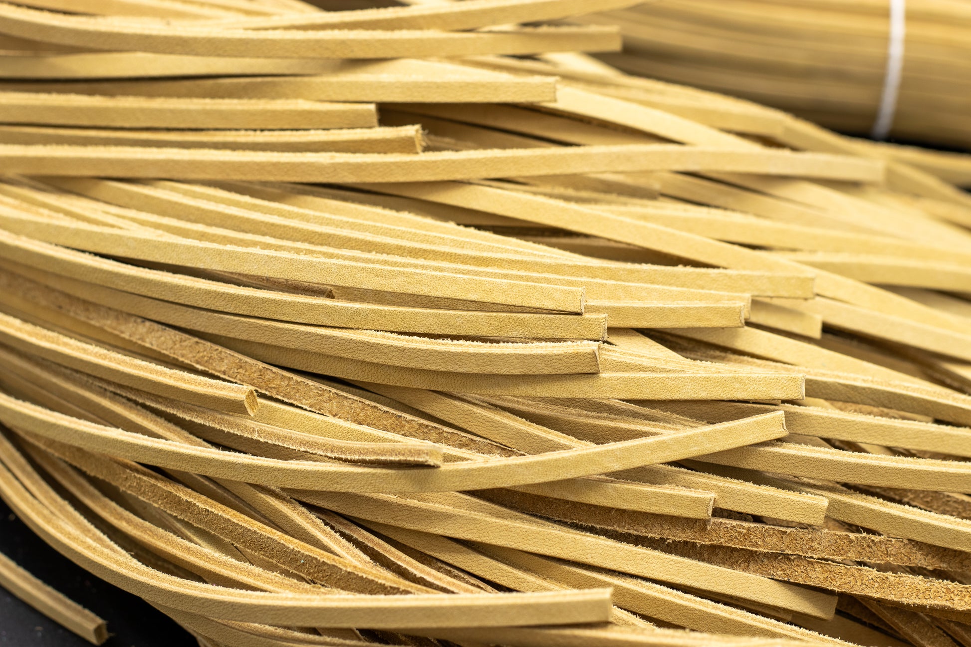 Camel Laces